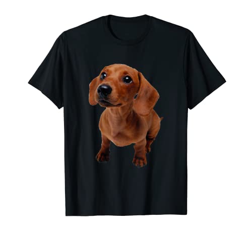 Adorable lindo perro salchicha peludo marrón Camiseta